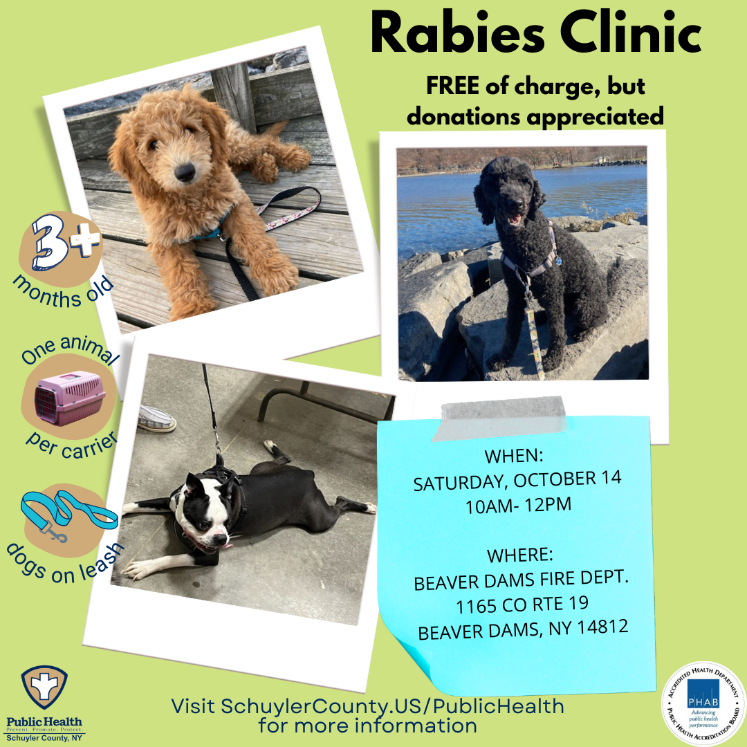 Flyer with information about when and where the rabies clinic is