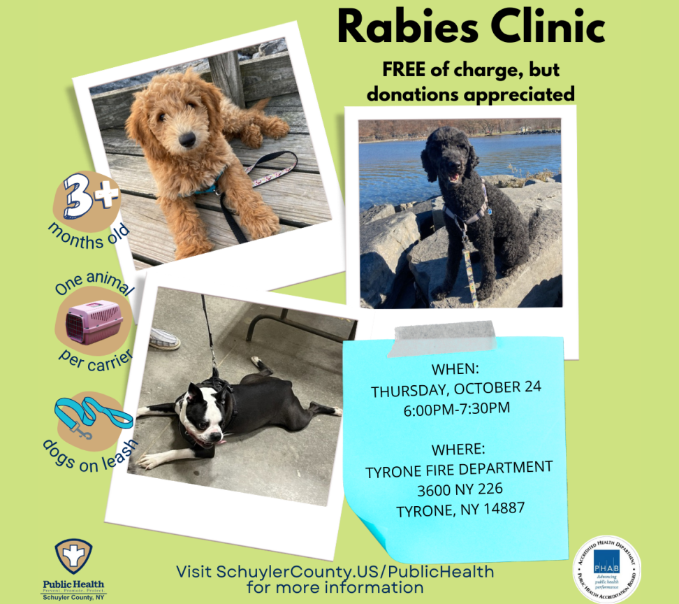 Flyer with information about the upcoming rabies clinic