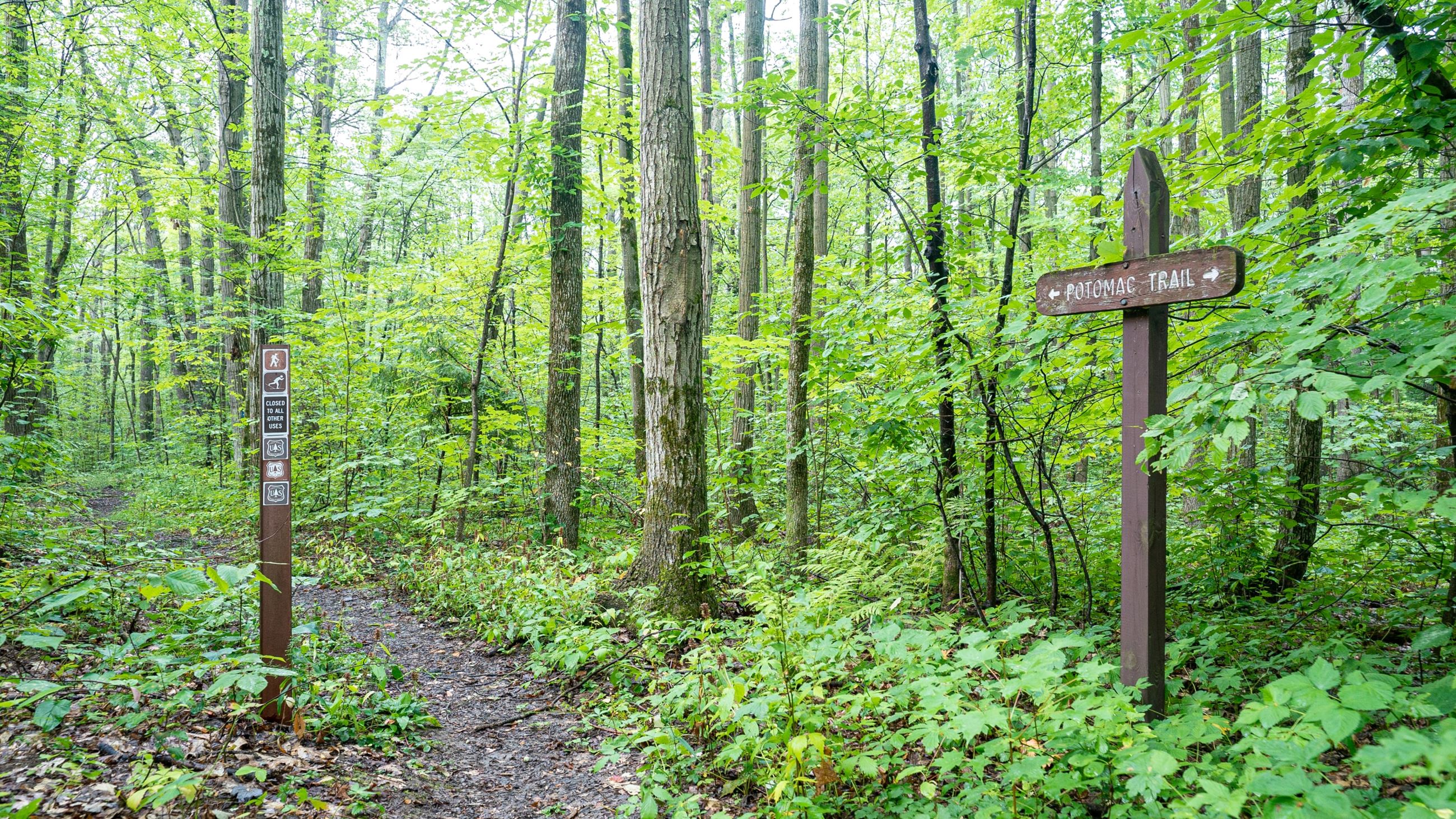 Finger Lakes National Forest
