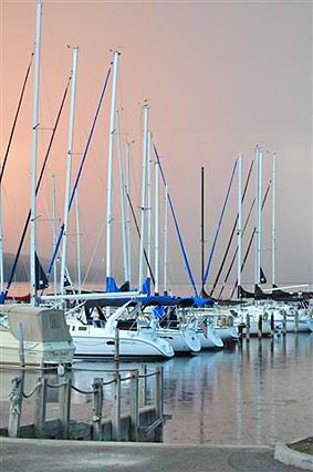 Sailboats in the Marina